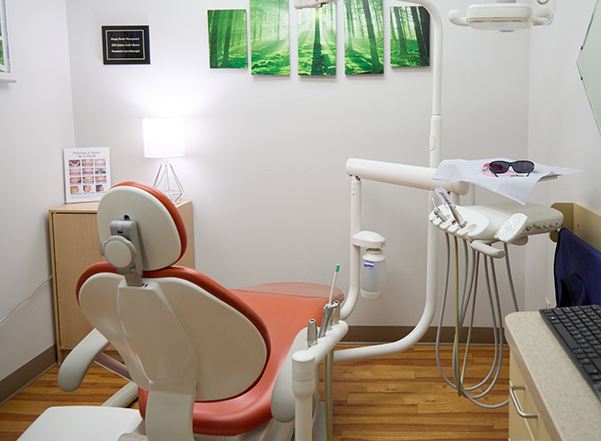 Dental exam room with forest photos on the wall